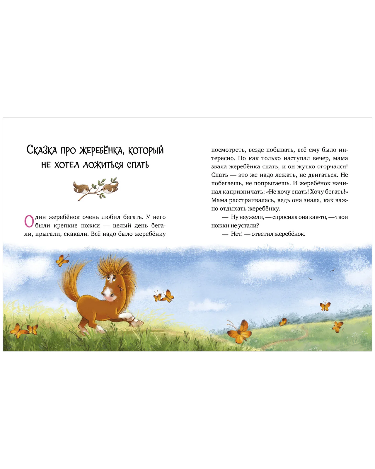 תמונה ממוזערת 14