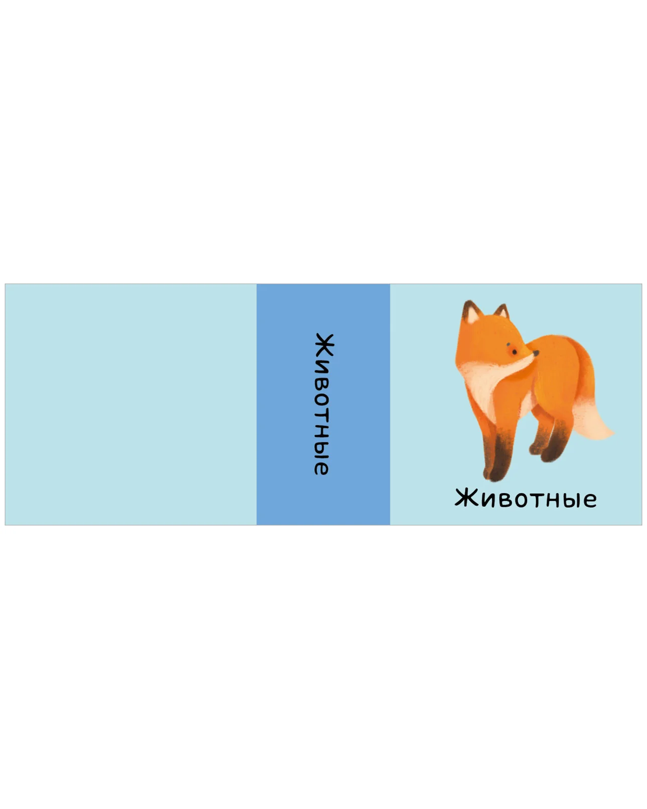 תמונה ממוזערת 15