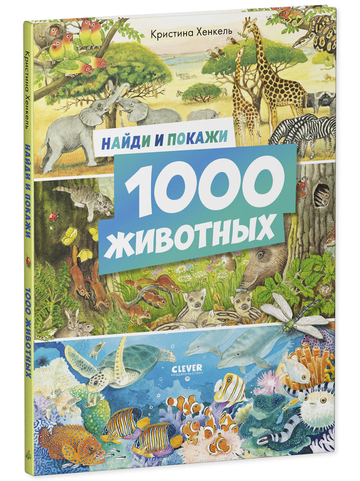 תמונה ממוזערת 10