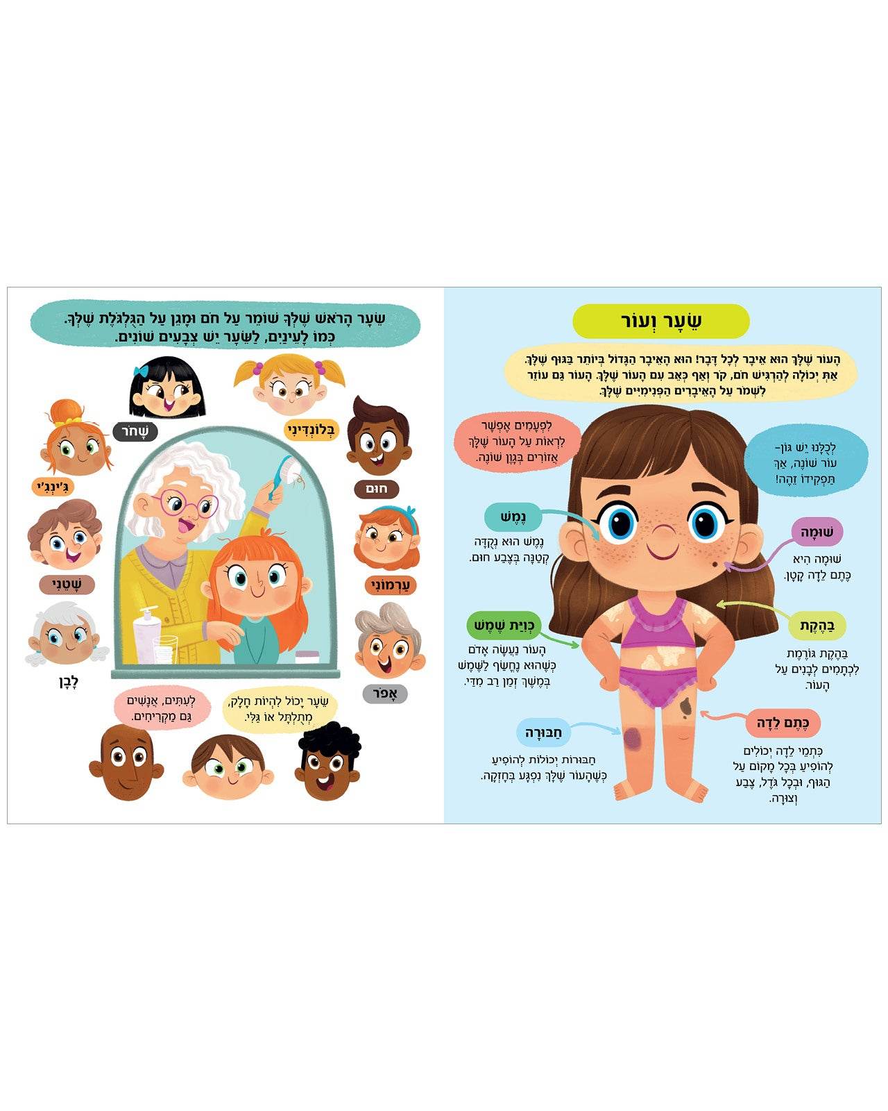 תמונה ממוזערת 5