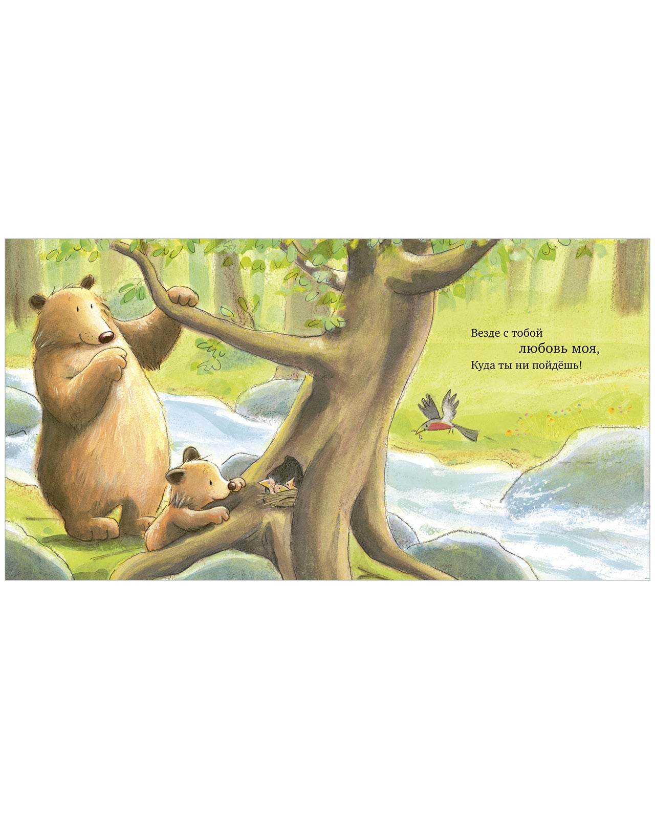 תמונה ממוזערת 11