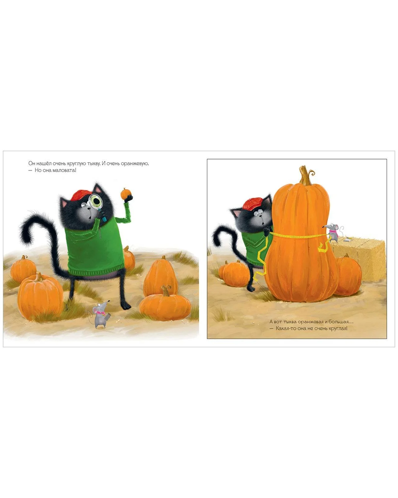 תמונה ממוזערת 5