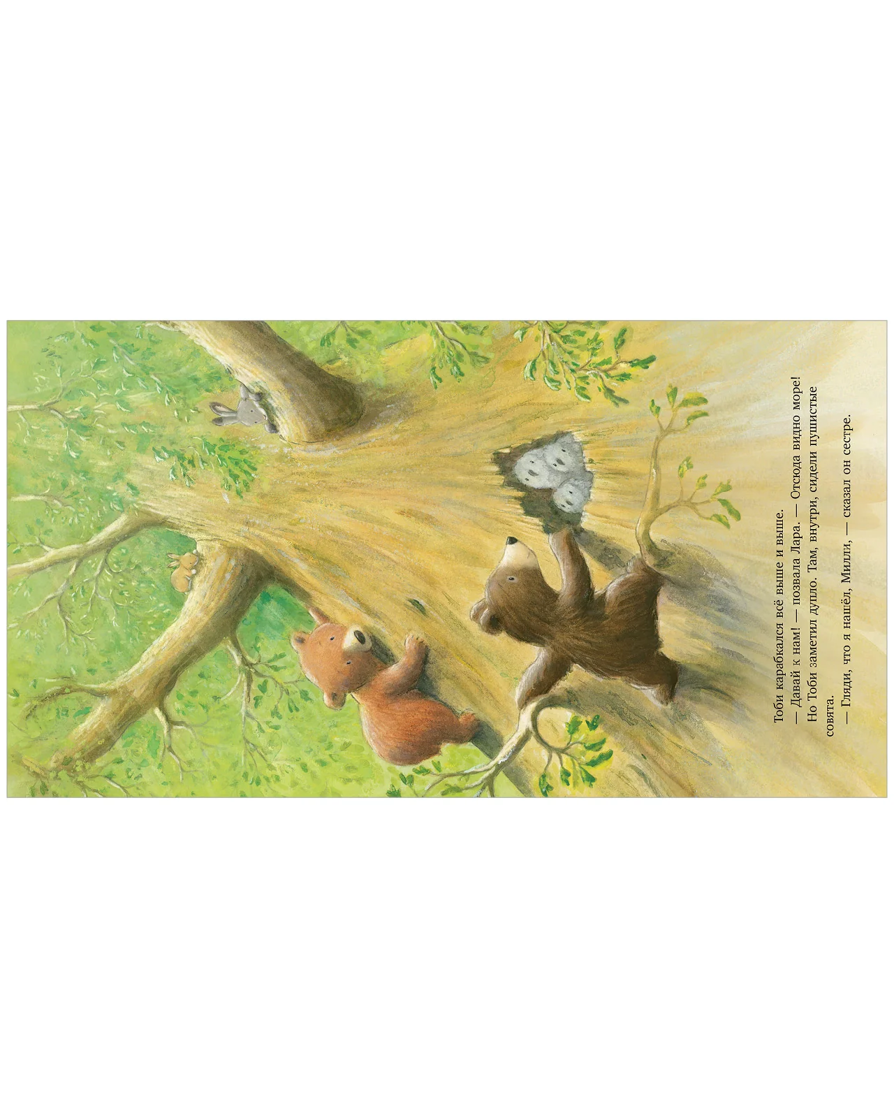 תמונה ממוזערת 13