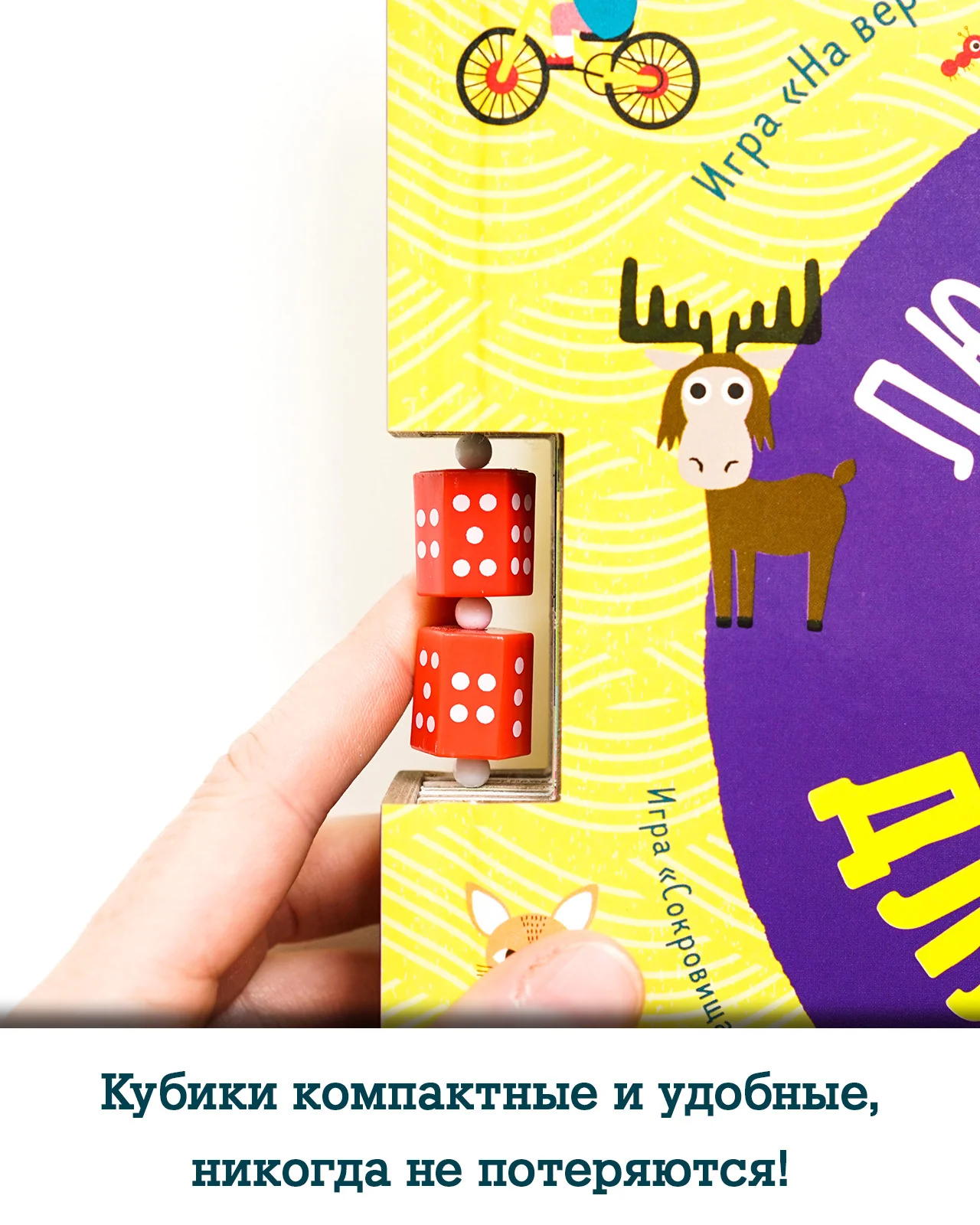 תמונה ממוזערת 14